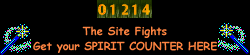 Site Fights Spirit Counter