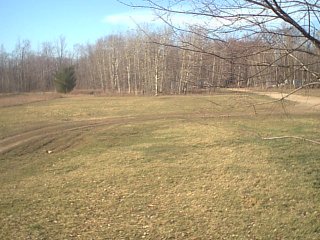 View of part of our front yard, about only a third of the yard is in the picture; from the front porch.