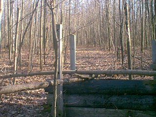 The path leadin' to the back 5 acres.