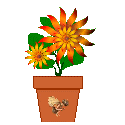 The Site Fights Spirit Flowers