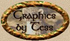 Webset by Castleberry Arts