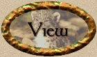 View the Spiritbook!