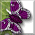 DRealm of DSpirit Month Charm